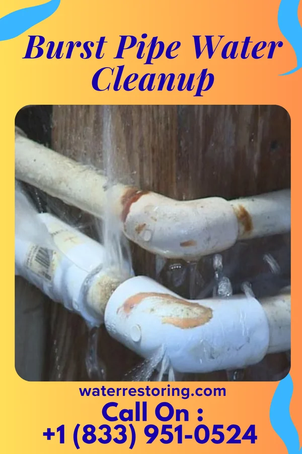 Burst Pipe Water Cleanup in Batesville, IN