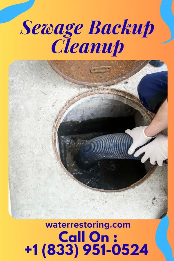 Sewage Backup Cleanup in Batesville, IN